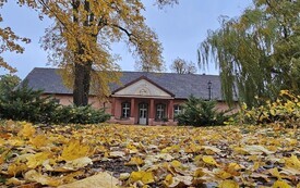 IMG_4416  (2)